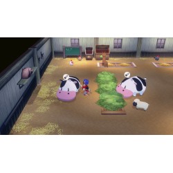 PREVENTA STORY OF SEASONS GRAND BAZAAR SWITCH 2 EDITION JUEGO FÍSICO PARA NINTENDO SWITCH 2 VERSIÓN ESPAÑOLA GARANTÍA EUROPEA