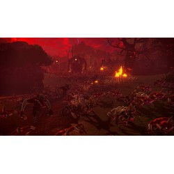 HYRULE WARRIORS LA ERA DEL DESTIERRO SWITCH2 JUEGO FÍSICO PARA NINTENDO SWITCH 2 VERSIÓN ESPAÑOLA GARANTÍA EUROPEA EU