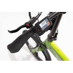BICICLETA ELÉCTRICA PLEGABLE  IBIZA RAINBOW GREEN PEACE LITTIUM COLOR VERDE CON BATERÍA DE 10,4 AH Y ACCESORIOS GARANTÍA EUROPEA