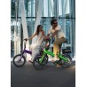 BICICLETA ELÉCTRICA PLEGABLE  IBIZA RAINBOW GREEN PEACE LITTIUM COLOR VERDE CON BATERÍA DE 10,4 AH Y ACCESORIOS GARANTÍA EUROPEA